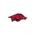 University of Arkansas